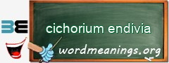 WordMeaning blackboard for cichorium endivia